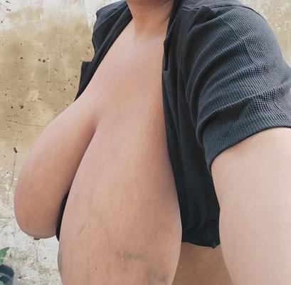 Meu Porco Gordo 8