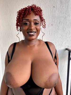 Rondelette Super Poitrinaire Preta