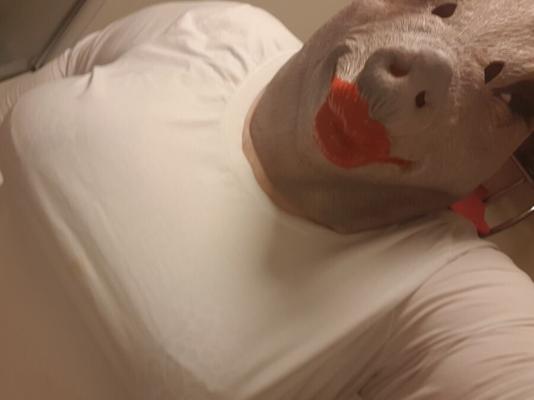 Piggy Sissy Roxy - Concurso de camisetas molhadas