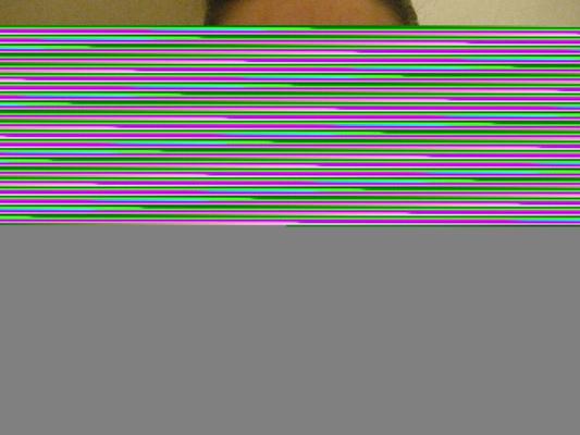 若いずんぐりした小便豚