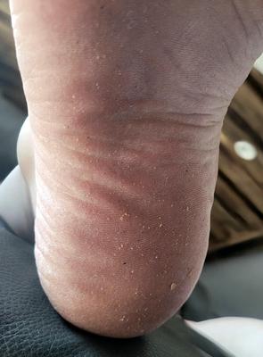 妻の足を崇拝します