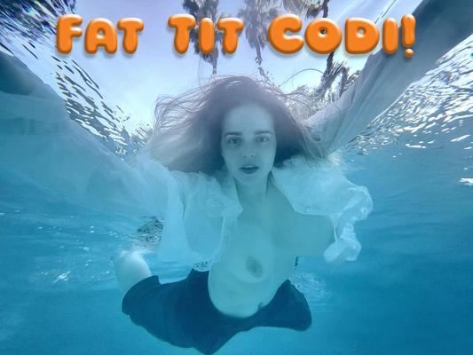 Fat Tit Codi!