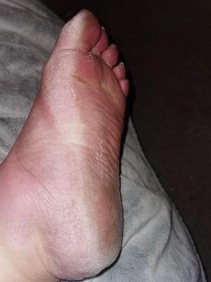 Big Fat BBW, SSBBW, USSBBW Sexy Pigs